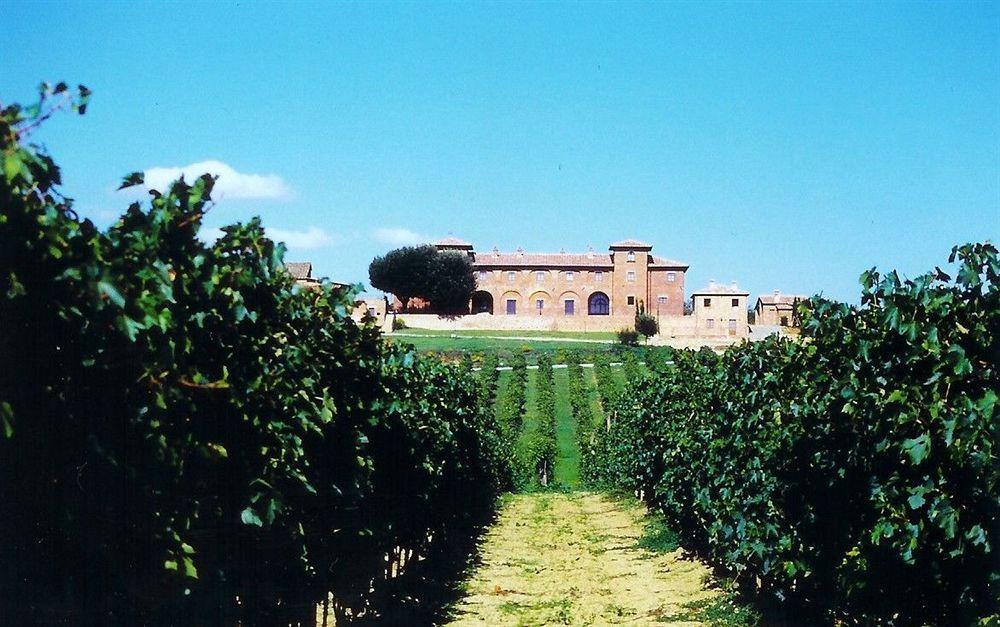 Agriturismo Terra Rossa Valiano Luaran gambar