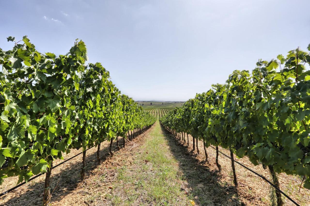 Agriturismo Terra Rossa Valiano Luaran gambar